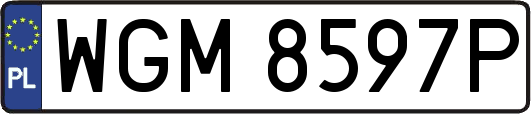WGM8597P