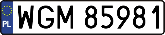 WGM85981