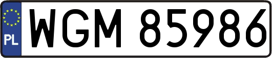 WGM85986