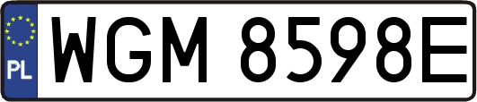 WGM8598E