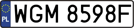 WGM8598F
