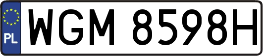 WGM8598H