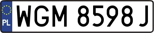 WGM8598J
