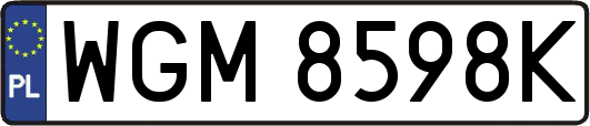 WGM8598K