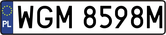 WGM8598M