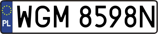 WGM8598N