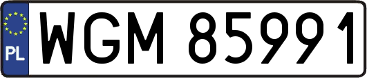 WGM85991