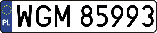 WGM85993