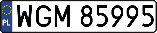 WGM85995