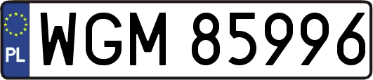WGM85996