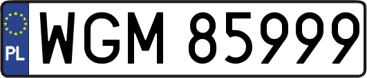 WGM85999
