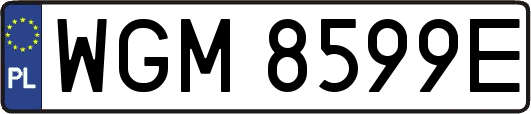 WGM8599E