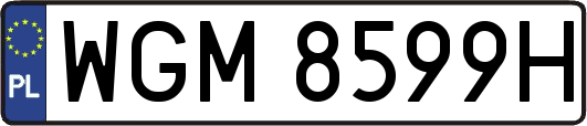 WGM8599H