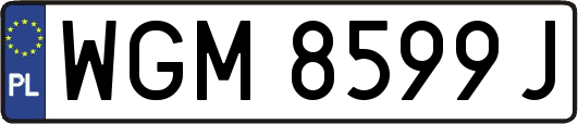 WGM8599J