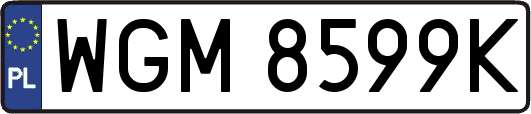 WGM8599K