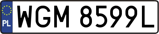 WGM8599L