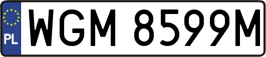WGM8599M