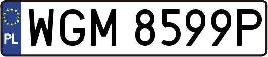 WGM8599P
