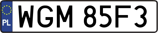 WGM85F3