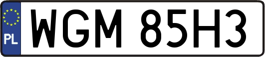 WGM85H3