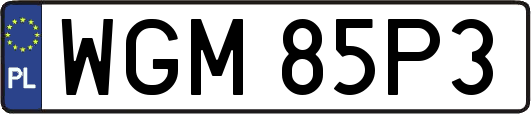 WGM85P3