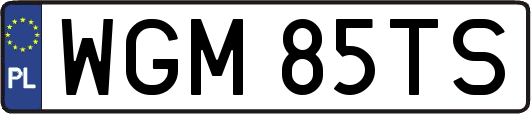 WGM85TS