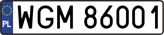 WGM86001