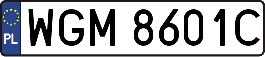 WGM8601C