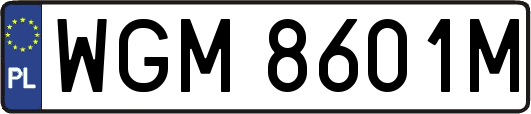 WGM8601M