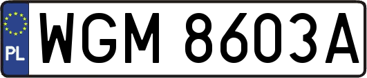 WGM8603A