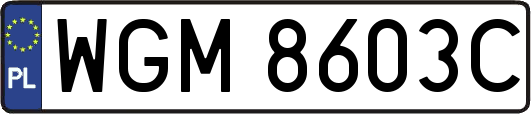 WGM8603C