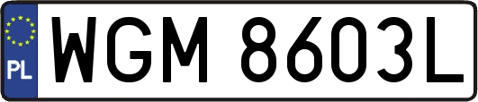 WGM8603L