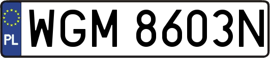 WGM8603N