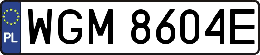 WGM8604E