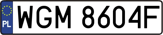 WGM8604F
