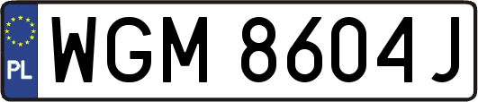 WGM8604J