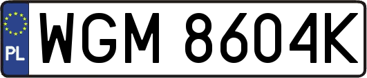 WGM8604K