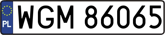 WGM86065