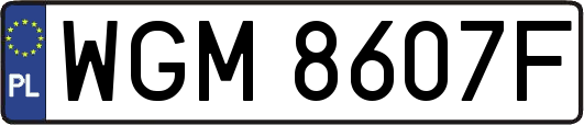 WGM8607F