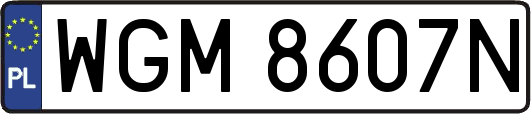 WGM8607N