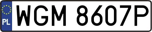 WGM8607P