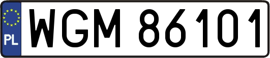 WGM86101