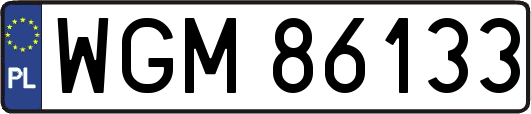 WGM86133