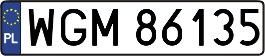 WGM86135