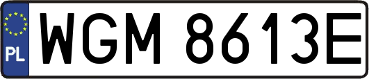 WGM8613E
