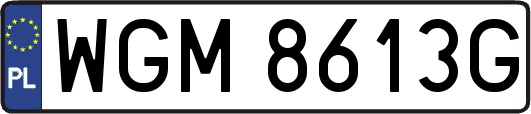 WGM8613G