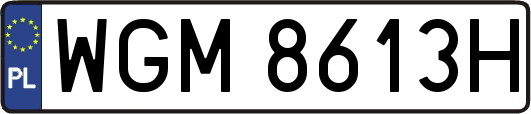 WGM8613H
