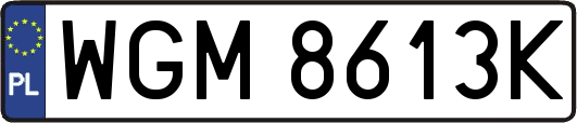 WGM8613K