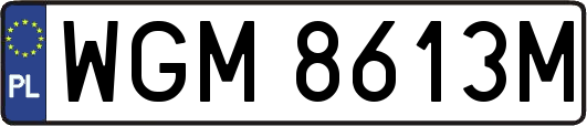 WGM8613M