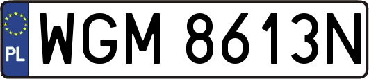 WGM8613N